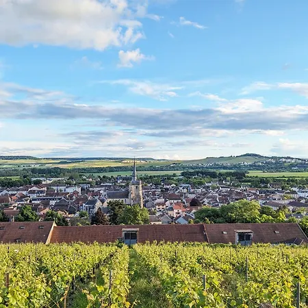 ベッド・アンド・ブレックファスト Maison A Deux Mains