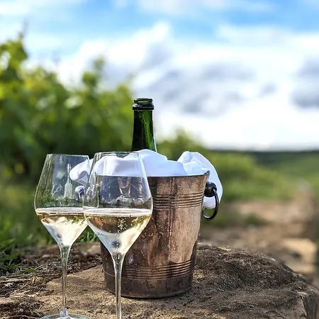 Panzió Maison A Deux Mains Ay-Champagne